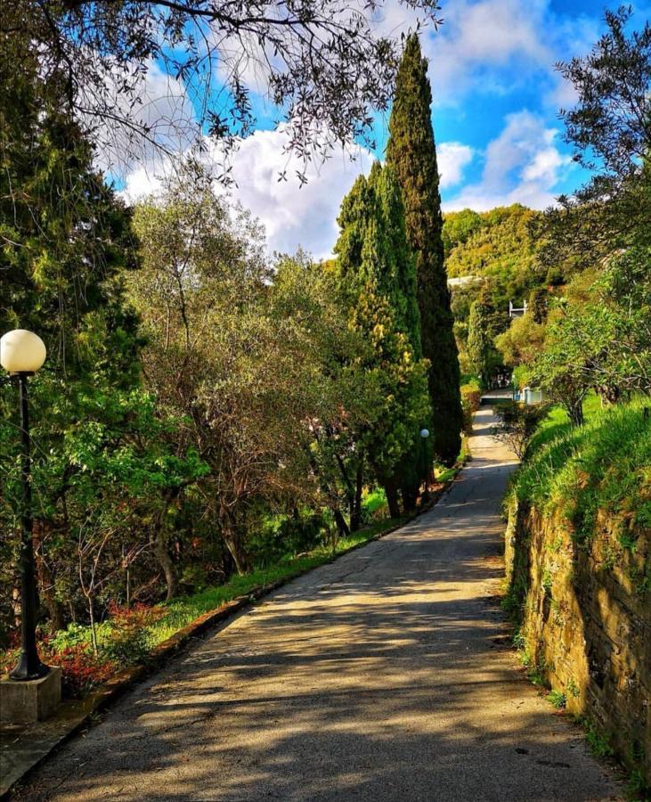 Villa La Vivagna - Casa Vista Mare Tra Gli Ulivi Leivi Exterior foto